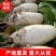 新疆白萝卜，产地直发，对接各大电商、批发市场，诚信经营