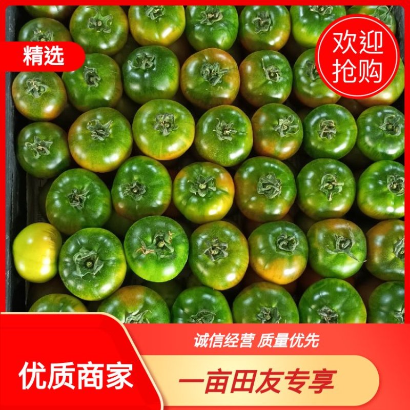 草莓柿子铁皮西红柿产地直供现摘现发诚信经营对接市场电商