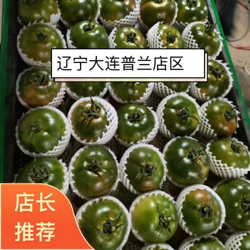 草莓柿子草莓西红柿大量上市产地直供一手货源口感嘎嘎好