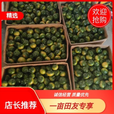 草莓柿子草莓西红柿大量上市产地直供一手货源口感嘎嘎好