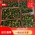 草莓柿子草莓西红柿大量上市产地直供一手货源口感嘎嘎好