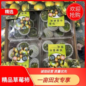 草莓西红柿草莓柿子口感好现摘现发诚信经营欢迎联系