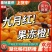 【精选】九月红脐橙果园采摘果肉细腻基地批发纯甜多汁