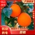 长虹脐橙产地大量供应纯甜多汁化渣现摘现发应季美味果