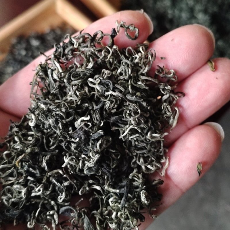 茶叶明前茶系列价格优惠一手货源欢迎各大老板咨询采购