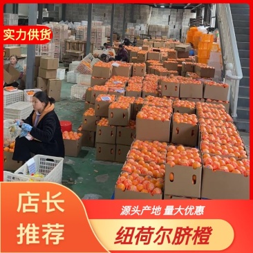 湖北纽荷尔脐橙大量上市，水分充足，口感香甜可口