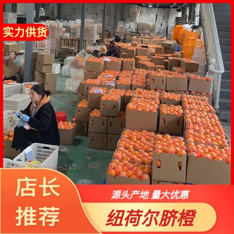 湖北纽荷尔脐橙大量上市，水分充足，口感香甜可口