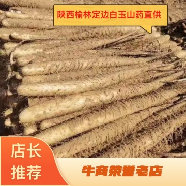 陕西榆林白玉山药，产地直供，大量批发，代收一条龙