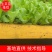 山西生菜苗基地诚信批发意大利生菜苗技术支持欢迎老板