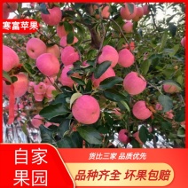 辽宁寒富苹果当季新鲜水果脆甜整箱批发