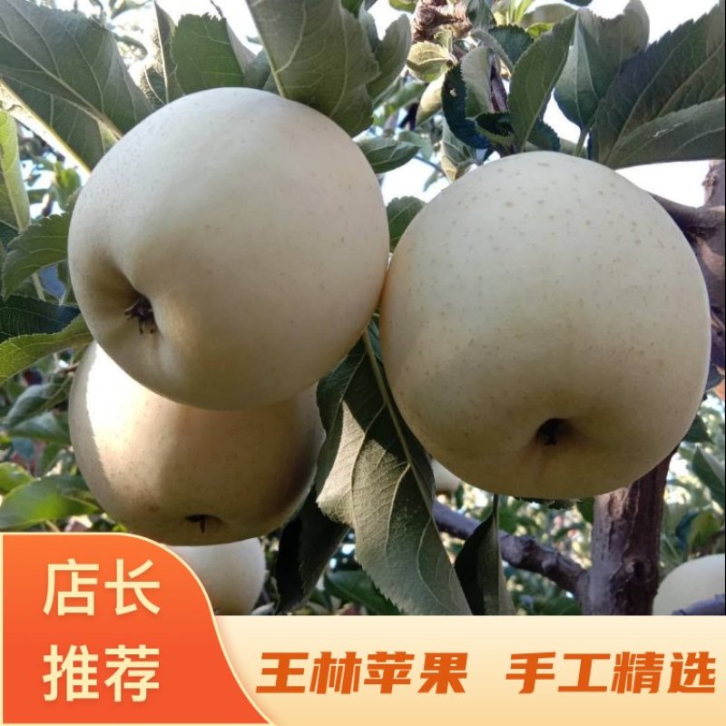 正宗奶油王林苹果雀斑美人新鲜苹果纯甜当季水果