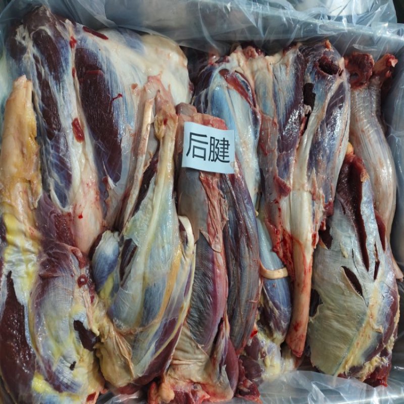 牛后腱基地供应全国直销量大质优保质保量欢迎采购
