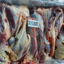牛后腱基地供应全国直销量大质优保质保量欢迎采购