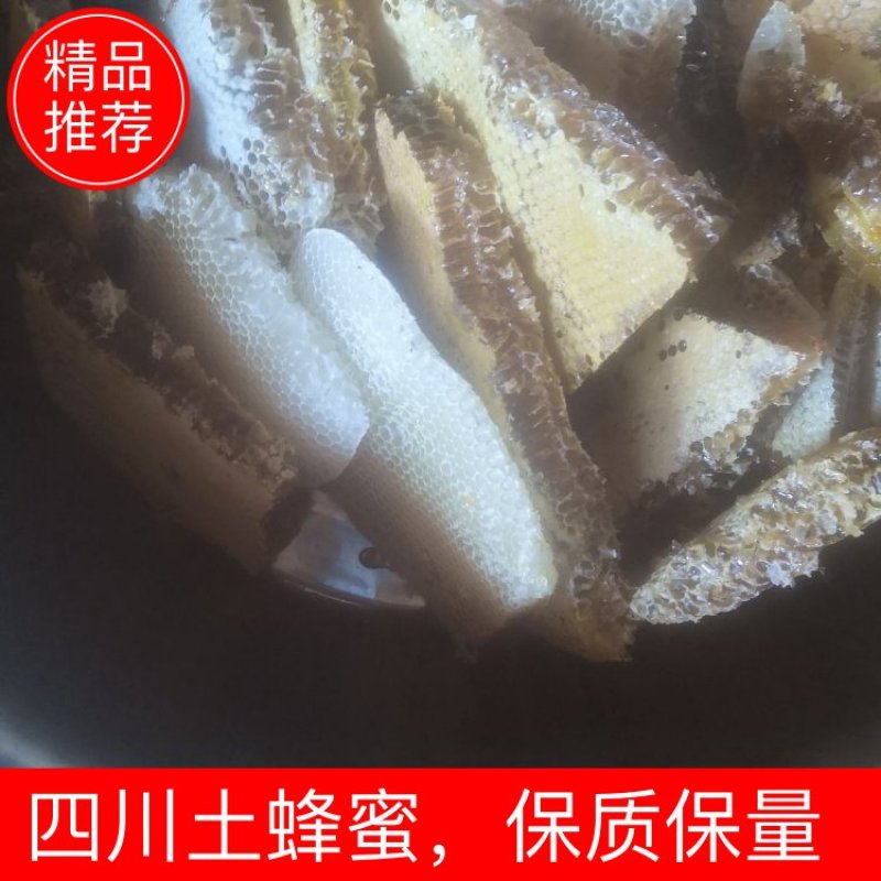 四川土蜂蜜，保质保量，货源充足，欢迎大家视频选购