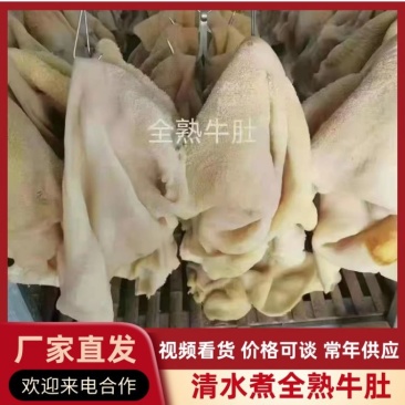 【优质推荐】清水煮全熟牛肚，质量好一手货源，全国冷链发货