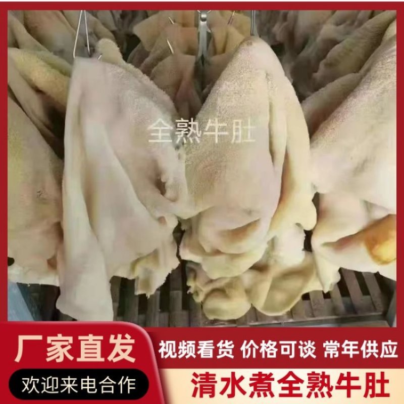 【优质推荐】清水煮全熟牛肚，质量好一手货源，全国冷链发货