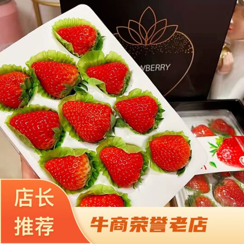丹东东港九九红颜草莓团购烘焙巧克十盒一诚招各大批发商