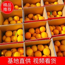 江西赣南脐橙产地直发规格齐全对接市场电商团购批发商