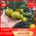 广西精品红江橙,产地直发质量保证货源充足全国发货