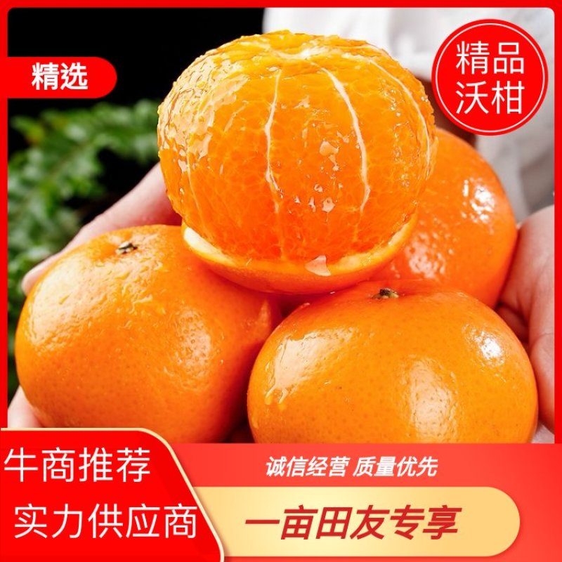 广西薄皮沃柑口感水润清甜品质保证接商超市场电商！大量供应