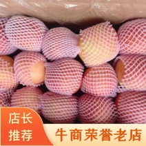 光果红富士苹果，产地一手货源，品质保证，量大从优