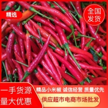 河南商丘精品小米椒全国发货供应各大电商超市批发商品质保证
