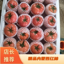 精品内蒙古松山西红柿个大肉甜丰汁色泽鲜亮饱满