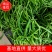 八号线椒二荆条三号线椒，产地代办物美价亷，