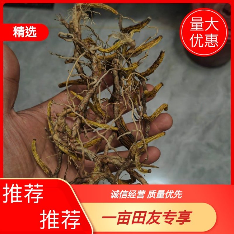 野生石枣子，野石橄榄，石仙桃，石橄榄自然晒干，干货石橄榄