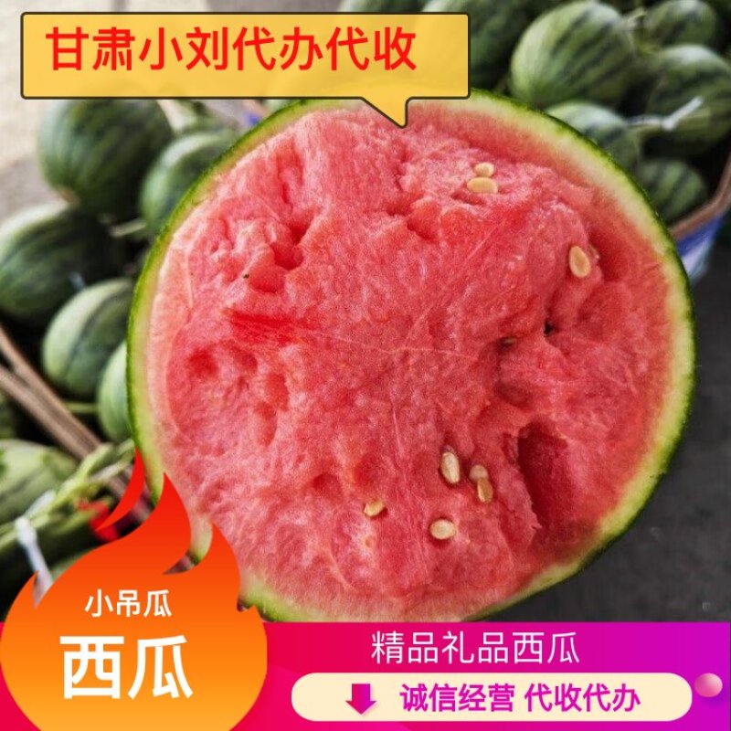 【实力牛商推荐】吊瓜西瓜代收代办一条龙量大质优价格优惠