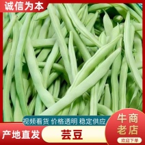 【热卖推荐】芸豆产地直发，一手货源，量大质优欢迎采购