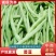 【热卖推荐】芸豆产地直发，一手货源，量大质优欢迎采购