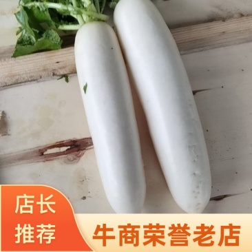 新一季白萝卜，四川产地直发，全国供货，品质保证，欢迎订购