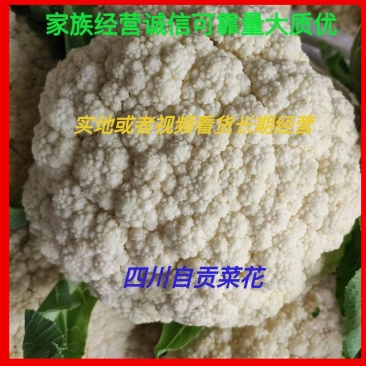 精品四川有机花菜散花青梗白面松花菜小米粒产地直销