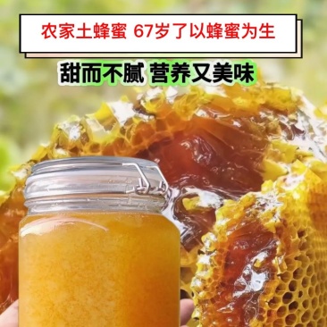 【推荐】广东茂名精品土蜂蜜产地直发品质保障价格美丽