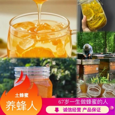 【推荐】广东茂名精品土蜂蜜产地直发品质保障价格美丽