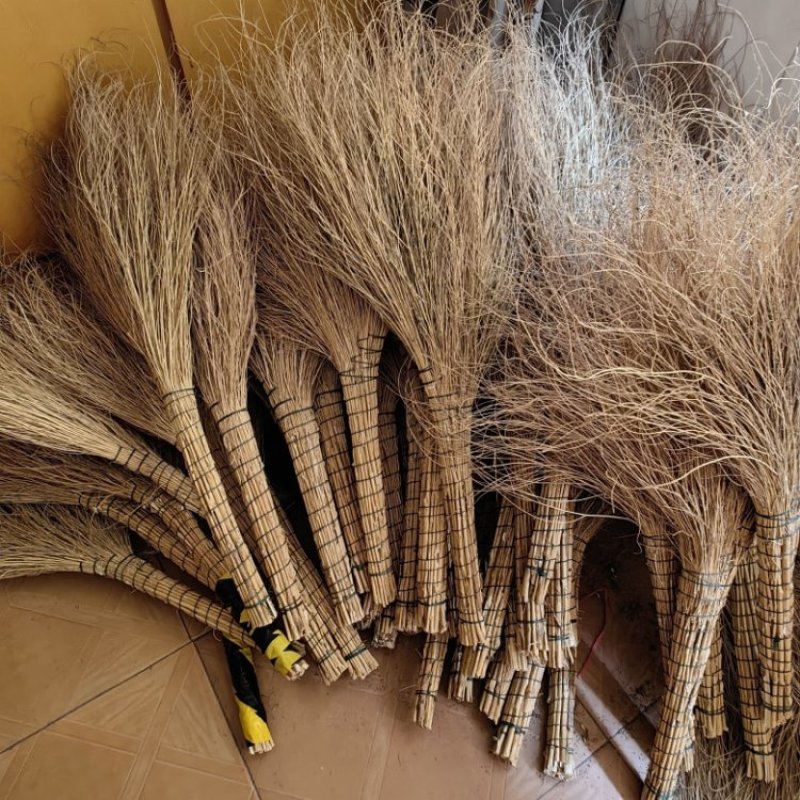 扫帚铁树扫把量大质优价格优惠可以视频看货一手货源