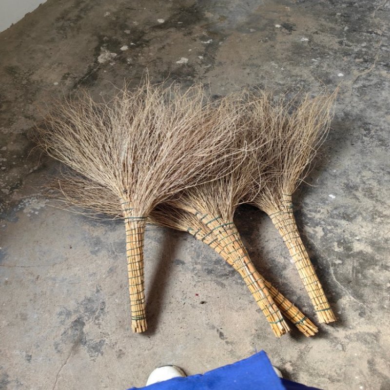 扫帚铁树扫把量大质优价格优惠可以视频看货一手货源
