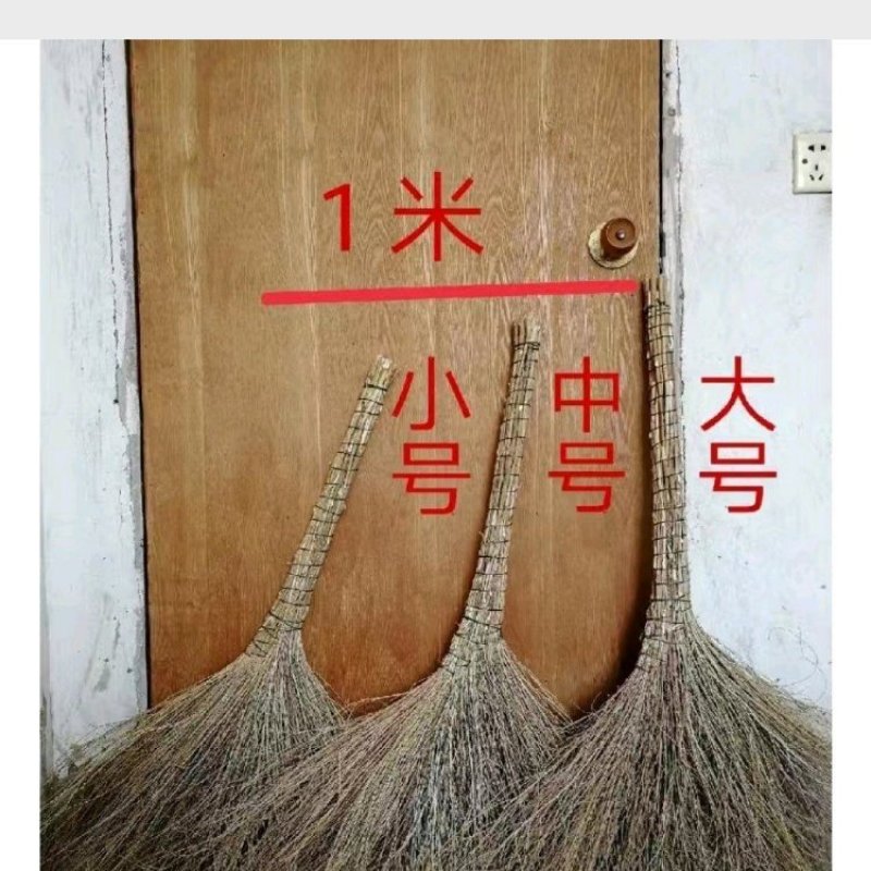 扫帚铁树扫把量大质优价格优惠可以视频看货一手货源