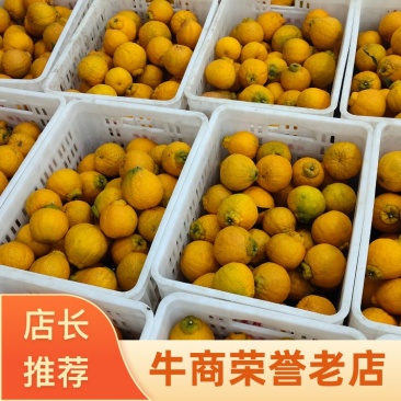 四川资中丑橘不知火，产地一手货源，品质保证，诚信经营