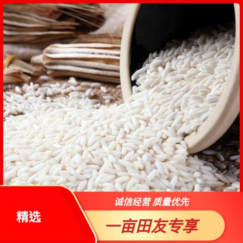 【贵州从江县特产】精品糯米软糯香甜口感细腻营养美味
