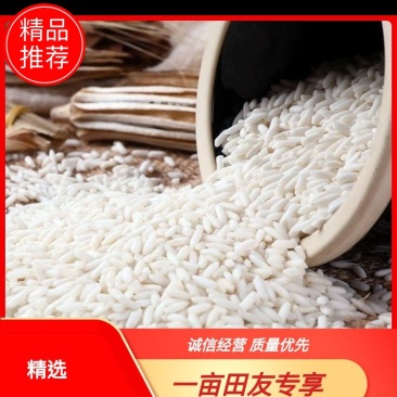 【贵州从江县特产】精品糯米软糯香甜口感细腻营养美味