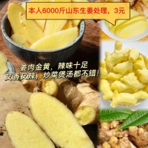 推荐安徽大黄姜现货出售质量保证
