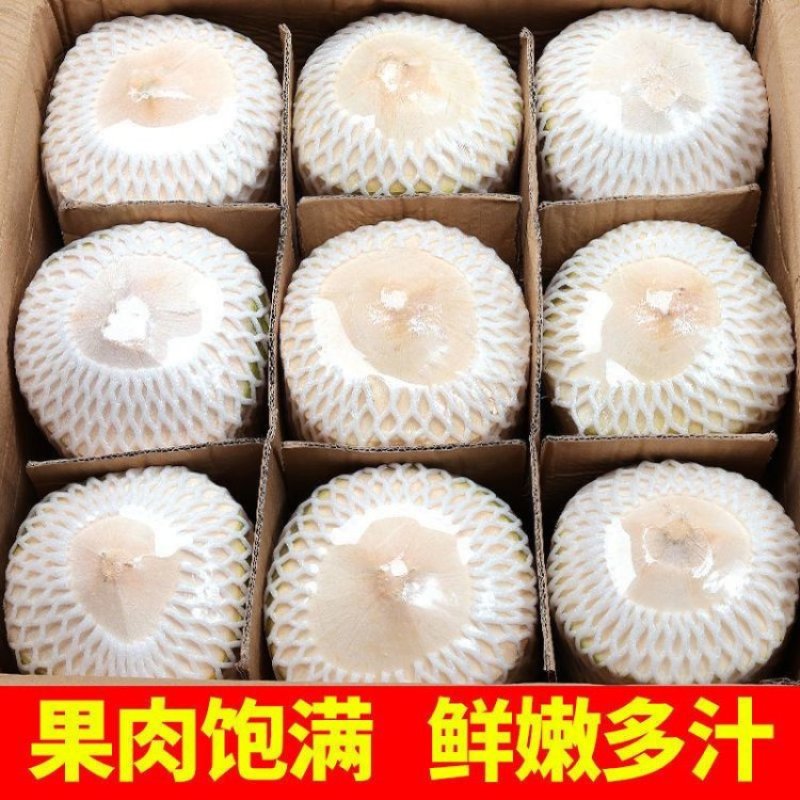 海南文昌椰子椰青一件九个，批发零售，全国各地一件代发
