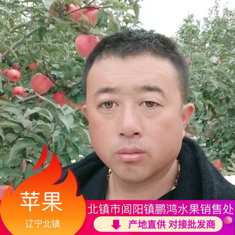 【牛商实力推荐】红富士苹果产地直供对接批发商
