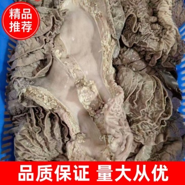 牛伞袋，牛沙瓜，牛散带，牛伞托，品质保证，量大从优