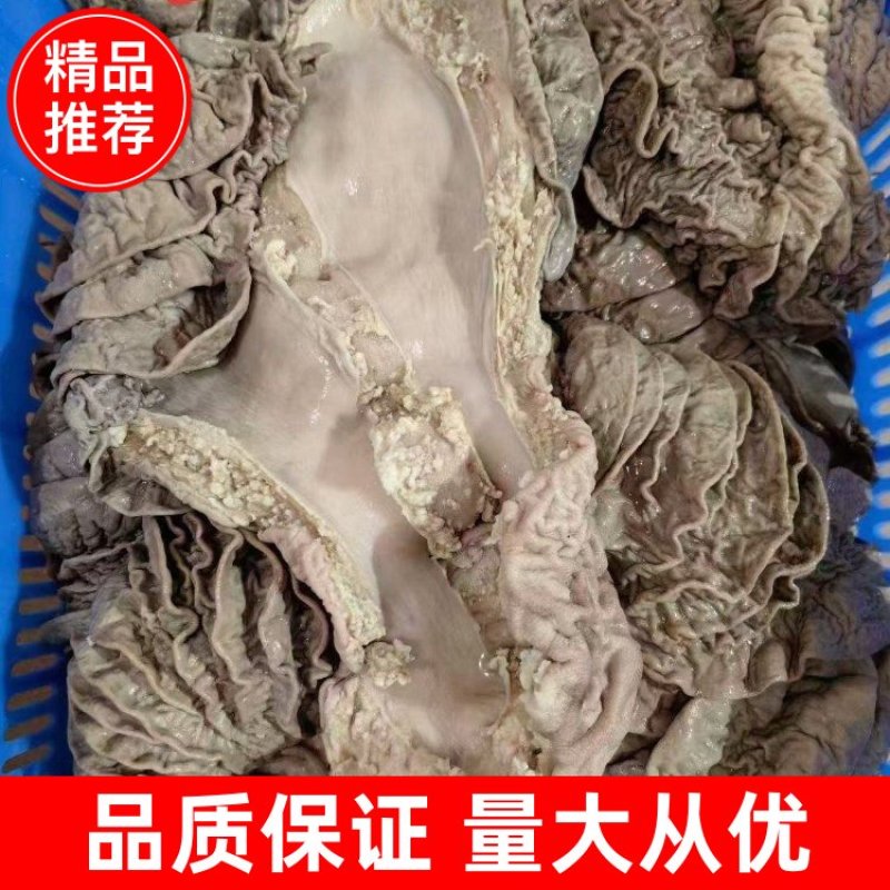 牛伞袋，牛沙瓜，牛散带，牛伞托，品质保证，量大从优
