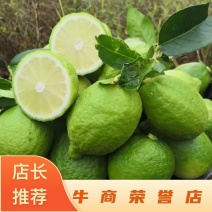 云南无籽香水柠檬，品质保证，诚信经营欢迎电话联系