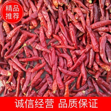 朝天椒干辣椒9成干以上通货精品各种规格品质保证支持视频