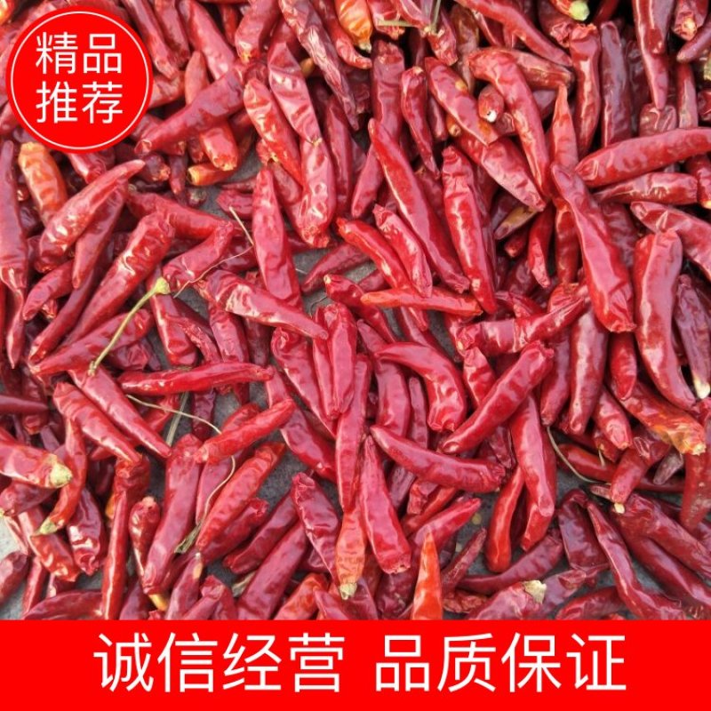 朝天椒干辣椒9成干以上通货精品各种规格品质保证支持视频